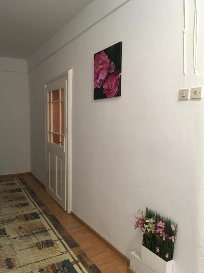 House Centrul Istoric Ll Appartement Sibiu Buitenkant foto